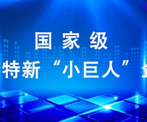江苏6165金莎总站成功入选第四批国家级专精特新“小巨人”企业